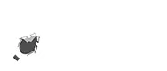 Bed Bug Specialist London