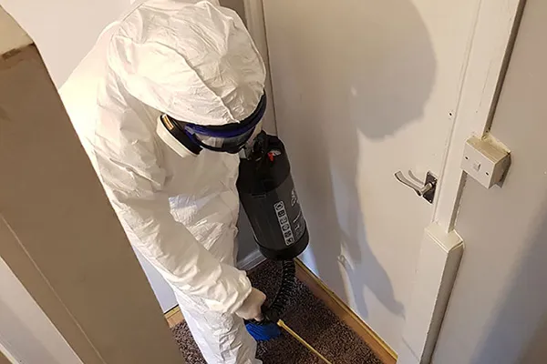 Bed bug treatment in London
