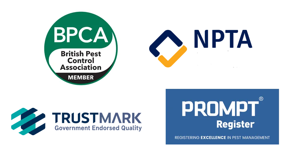 Bed Bug Specialist Certificates
