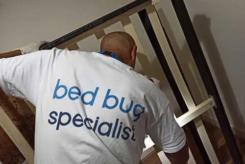 What kills bed bugs instantly